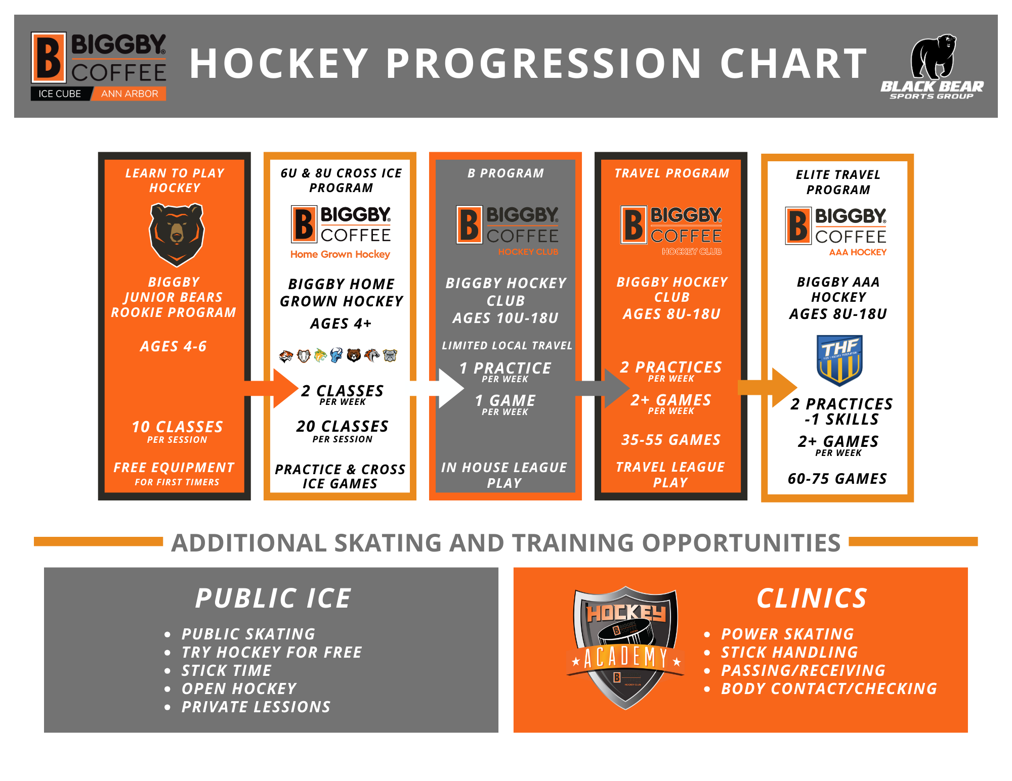 Ann Arbor Ice Cube Where to Start